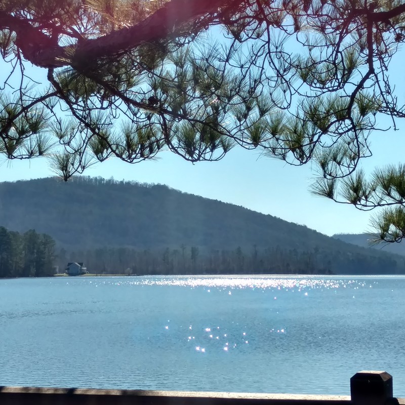 Lake Guntersville View